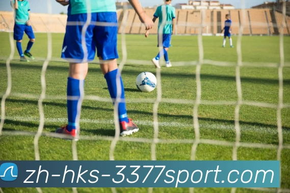 3377体育官网平台生态图