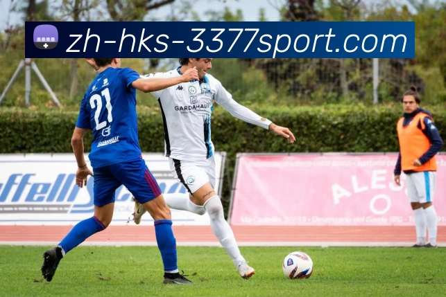 3377体育官网APP 封面图